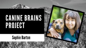 canine brains project sophie barton dog works radio banner