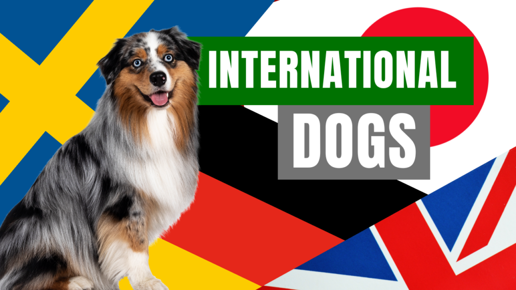 The Global Canine Connection