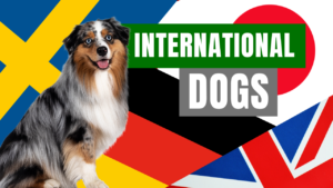 The Global Canine Connection