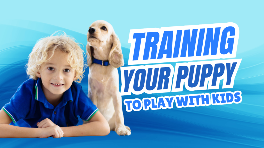 training your puppy to play with kids dog works radio