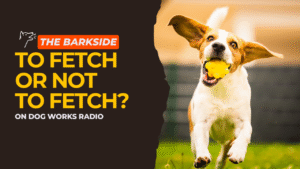 Fetch or No Fetch