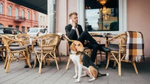 Training for Real Life: How to Teach Your Dog to Behave in Public Spaces