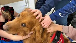 The Promise and Challenges of Therapy Dogs in Schools: Addressing Student Anxiety with Better Regulation