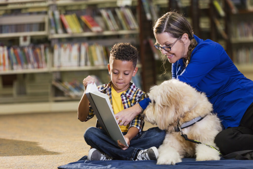 What is the Best Age to Start Training a Therapy Dog?
