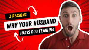 Navigating Dog Training Decisions: Addressing Common Concerns