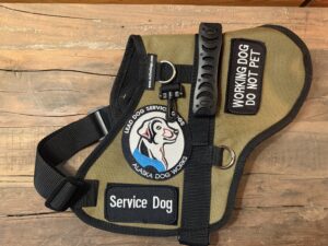 service dogs at alaska dog works