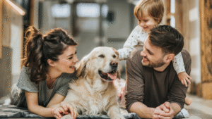 Creating a Dog-Friendly Home in Anchorage: Ideas for Making Your Home a Haven for Your Dog