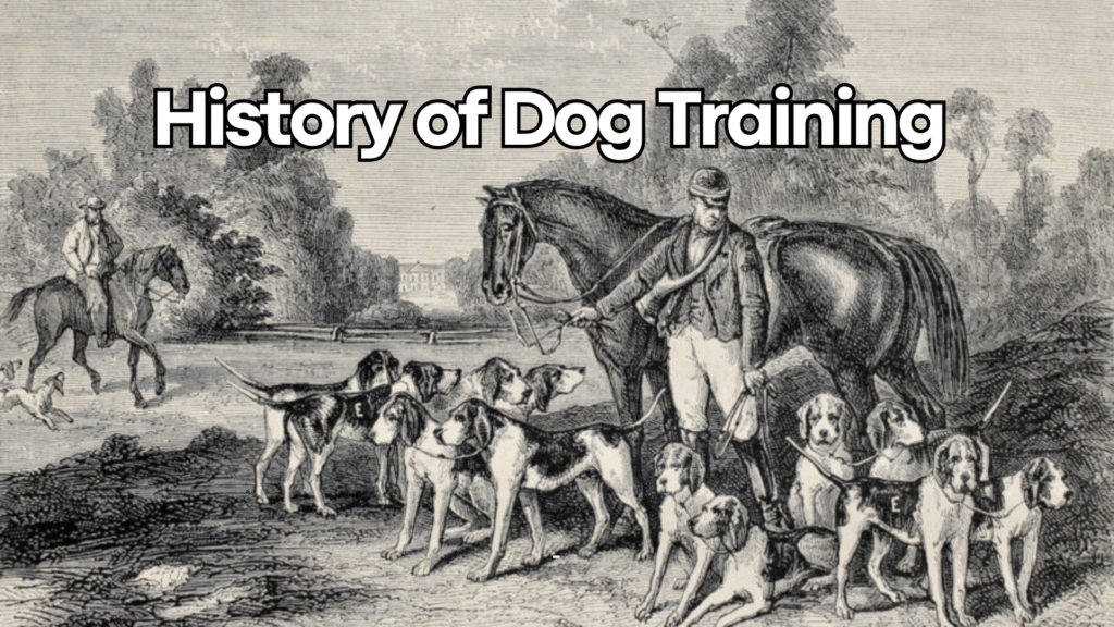 The Evolution of Dog Training: From Compulsion to Compassion