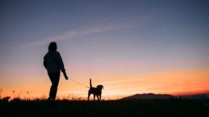 8 Ways You Could Be Annoying Your Dog