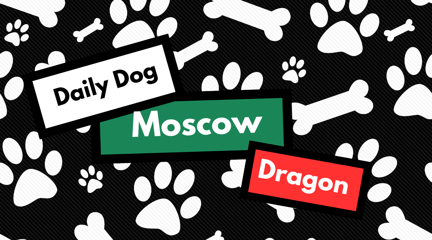 Unveiling the Unique Charm of the Moscow Dragon Dog Breed