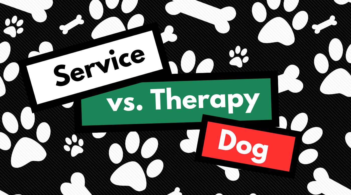 Therapy Dogs vs. Service Dogs vs. Emotional Support Animals: Know the Difference