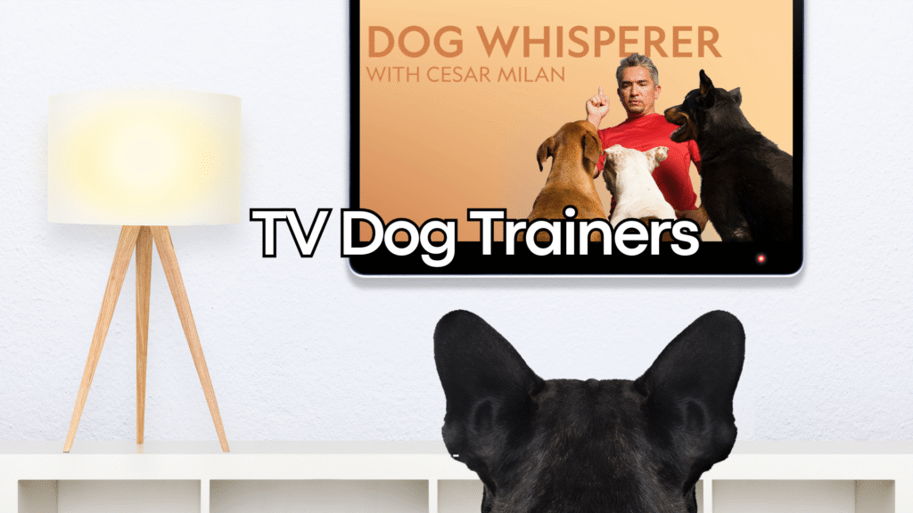 The Lasting Impact of Cesar Millan’s Training Philosophy