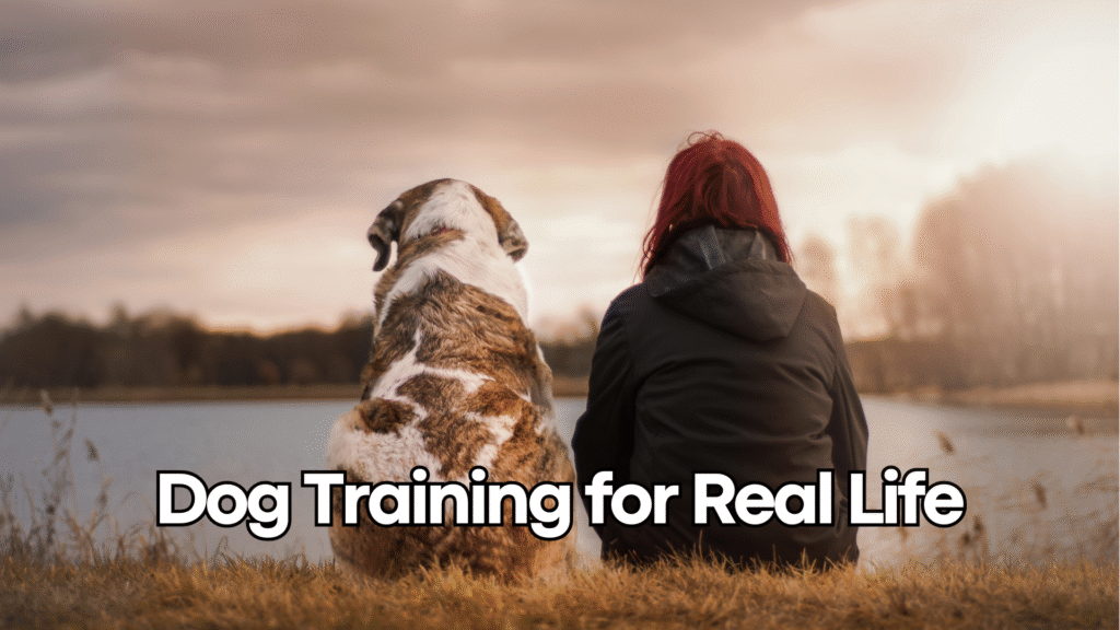 Training Your Dog for Real Life: Podcast Episode Companion
