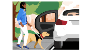 Service Dogs, Travel, and the Challenges of Accessibility in Alaska