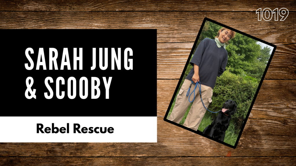 From Dog Farms to Forever Homes: Scooby’s Fight for a Second Chance in Korea