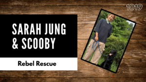 From Dog Farms to Forever Homes: Scooby’s Fight for a Second Chance in Korea