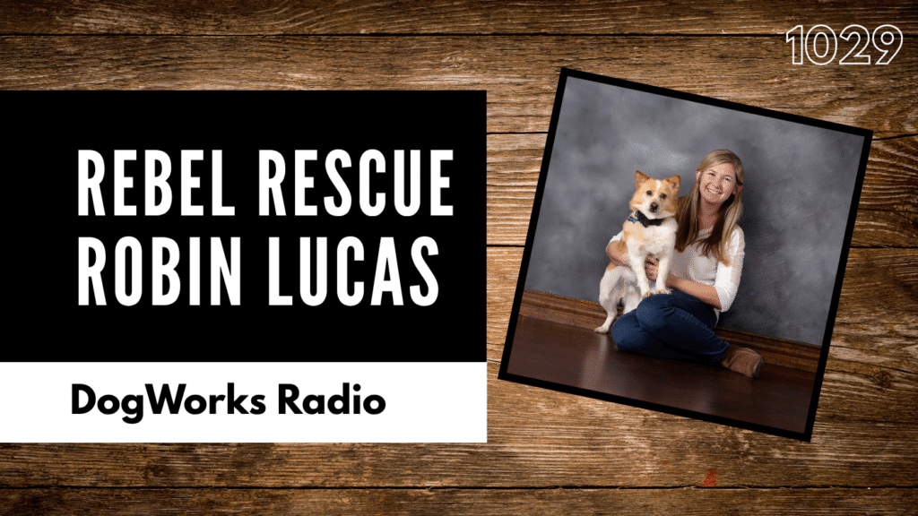 Rebel Rescue South Korea: From Army Spouse to Global Dog Advocate