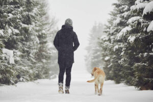 Balancing Busy Schedules with Dog Training: Strategies for Busy Professionals and Active Families