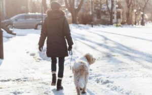 We’re Not the Cheapest Trainers in Town, And There’s a Reason for That