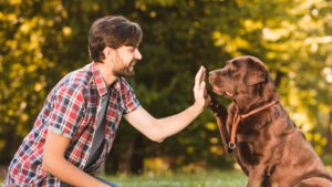 We Don’t Negotiate With Dogs, And Neither Should You