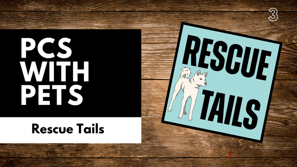 PCS with Pets: How Rebel Rescue Helps Military Families and Their Dogs Stay Together