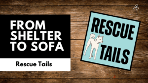 What Makes a Successful Rescue Adoption: Lessons from Rebel Rescue South Korea