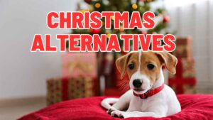 The Smarter Way to Get a Dog: Why Waiting Beats the Christmas Puppy Surprise