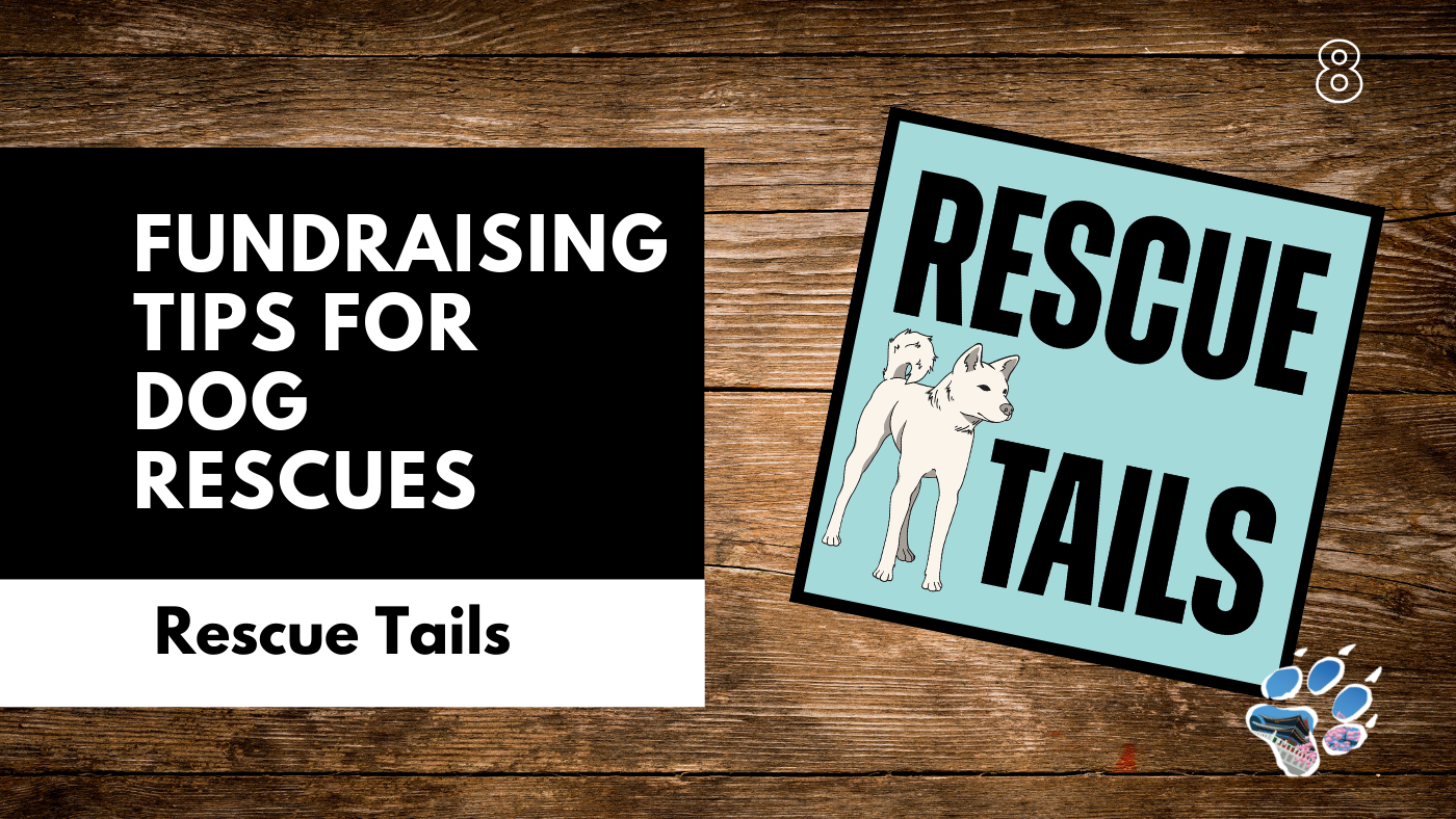 Dog Rescue Rewards Fundraising for Rescues: What Works, What Doesn’t, and Why It Matters ...
