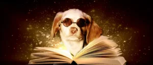 21 Dog Training Books That Make Great Christmas Gifts for Dog Owners