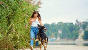 Consistency or Intensity in Dog Training
