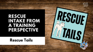 The Importance of Low Stress Handling in Dog Rescues