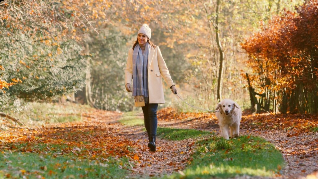 Loose Leash Walking 101: Building Calm, Controlled Walks with Your Dog