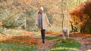 Loose Leash Walking 101: Building Calm, Controlled Walks with Your Dog