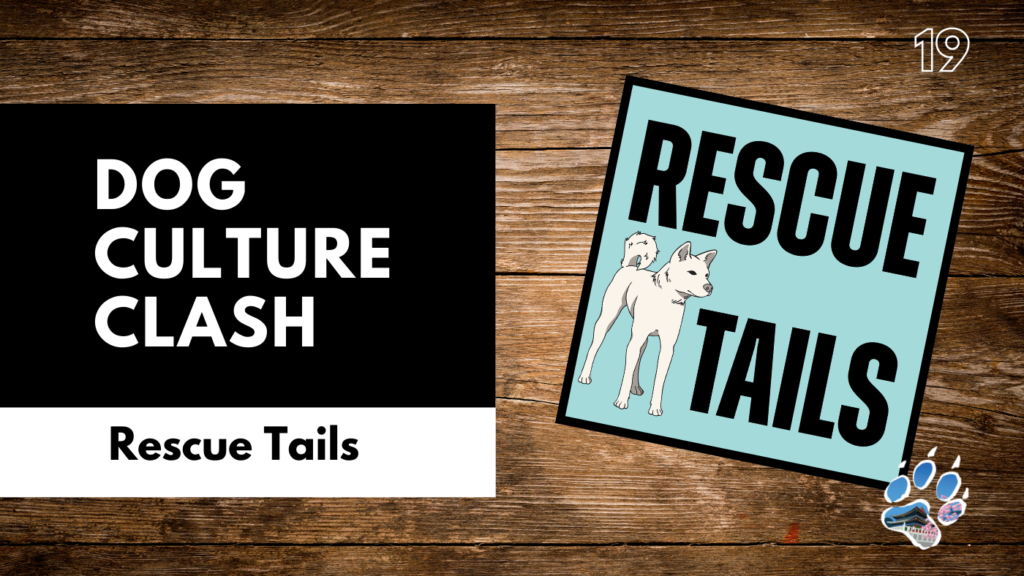 South Korea’s Dog Laws Explained: Insurance, Muzzles, and Registration