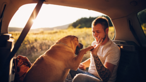 40 Incredible Quotes About Dog Training to Motivate You