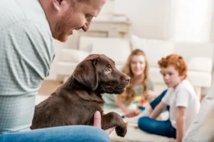 Your Christmas Puppy Is Two Months In. Now What?