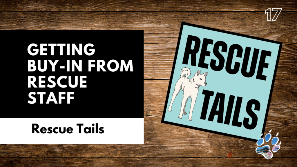 Building Trust in Dog Rescue Organizations
