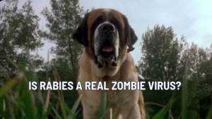 The Real Zombie Virus: Rabies, Cujo, and the Biology Behind the Horror