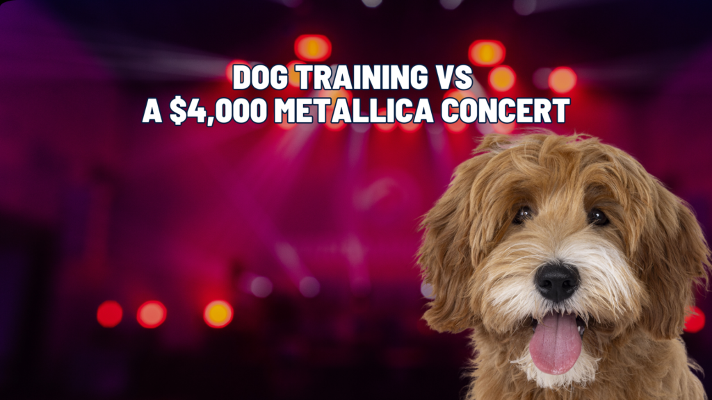 Dog Training vs a $4,000 Metallica Concert: Which Is the Better Investment?