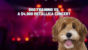 Dog Training vs a $4,000 Metallica Concert: Which Is the Better Investment?