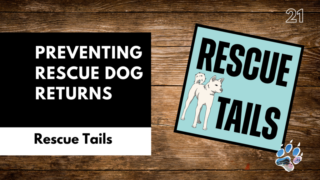 When the Honeymoon Phase Ends With a Rescue Dog