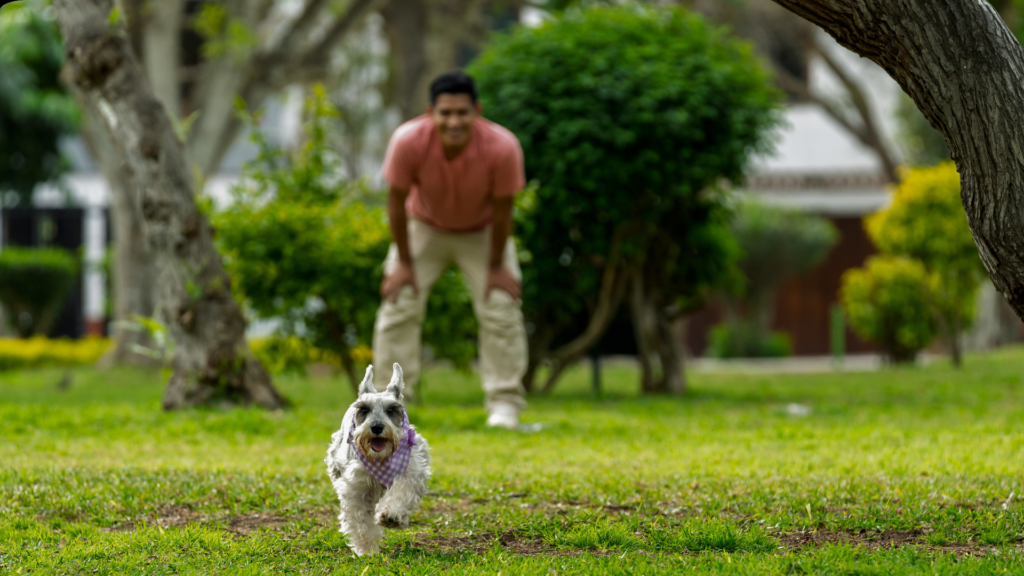 Don’t Let April Fool’s Fool You: The Truth About Dog Training