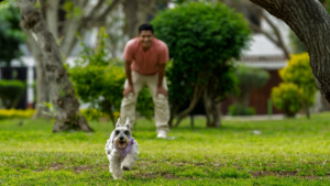 Don’t Let April Fool’s Fool You: The Truth About Dog Training