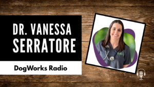 Understanding Veterinary Specialties: Insights from Dr. Vanessa Serratore