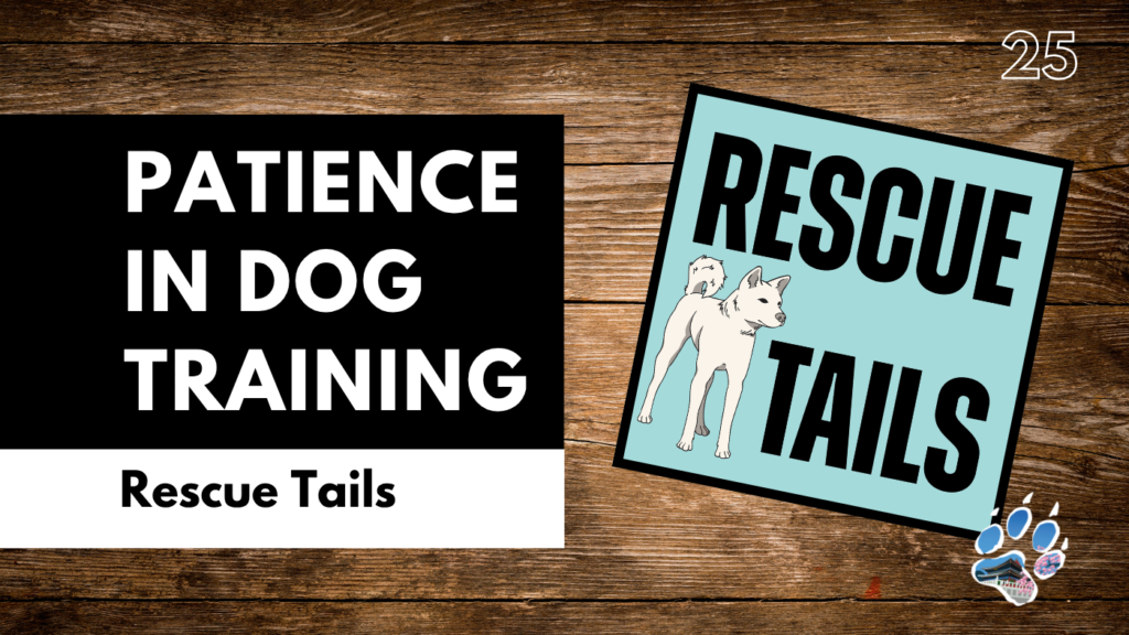 Understanding Patience in Dog Rescue: A Guide for Adopters