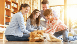 6 Essential Dog Training Principles Every Owner Should Know