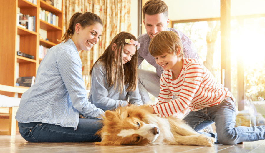 6 Essential Dog Training Principles Every Owner Should Know