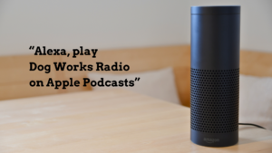 How to Use Alexa to Listen to Dog Works Radio Through Apple Podcasts