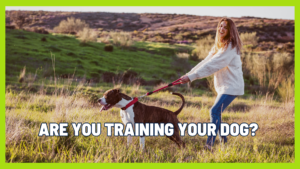The difference between interrupting behavior and teaching behavior