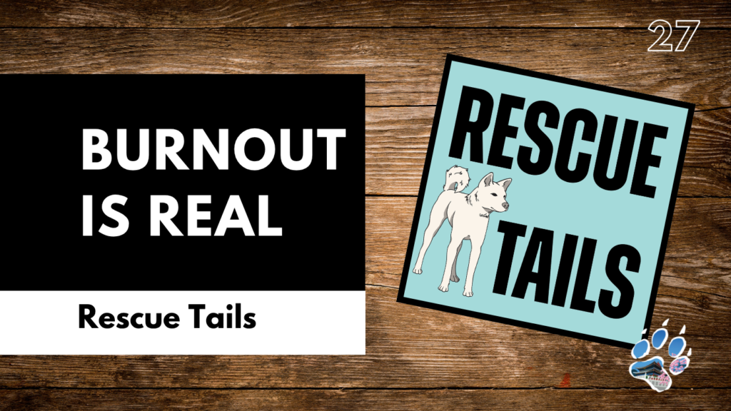Burnout in Animal Rescue: What No One Talks About